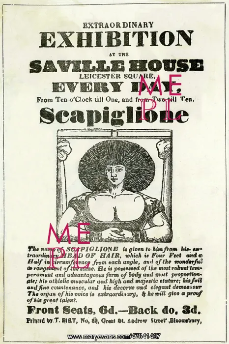 : Extraordinary exhibition of Scapiglione : Extraordinary exhibition of Scapiglione