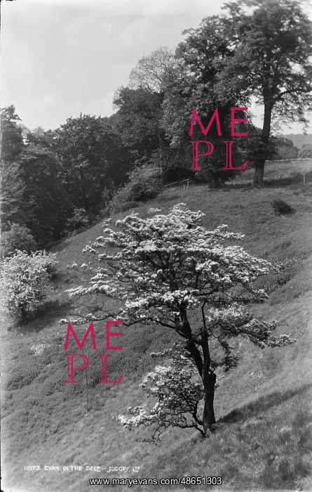 : Eyam in the Dale : Eyam in the Dale