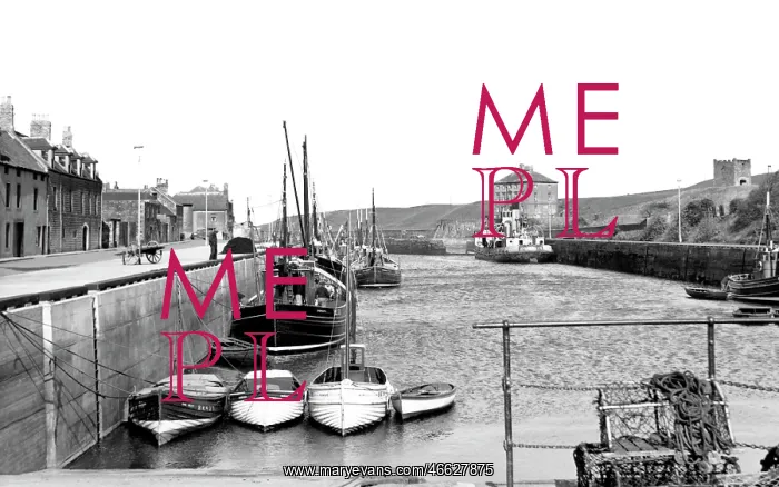  : Eyemouth, the Harbour c1960