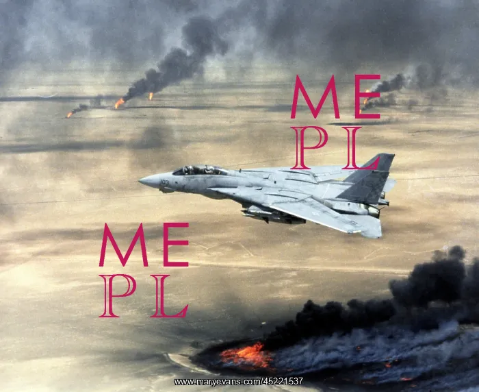 : F-14 fighter in flight over burning Kuwaiti ? : F-14 fighter in flight over burning Kuwaiti ?