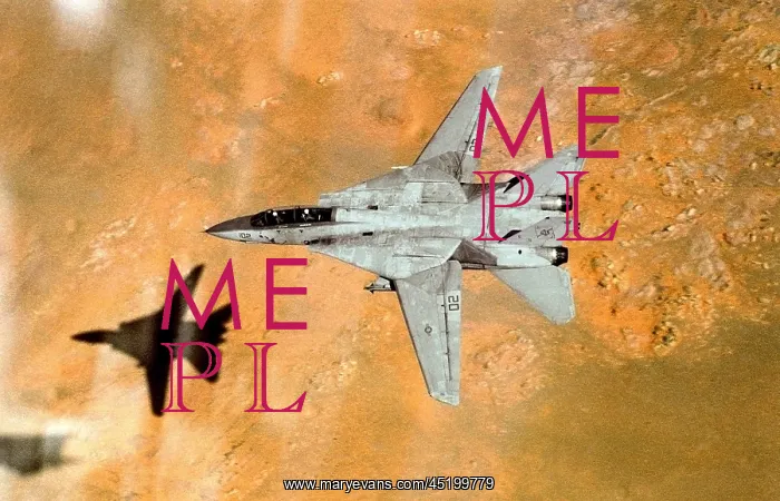 : F-14 Tomcat aircraft passes over western ? : F-14 Tomcat aircraft passes over western ?