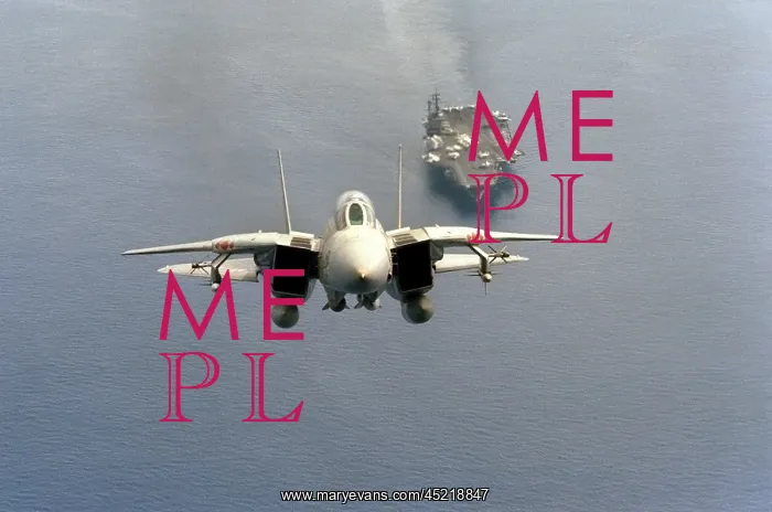 : F-14 Tomcat fighter just after take-off ? : F-14 Tomcat fighter just after take-off ?