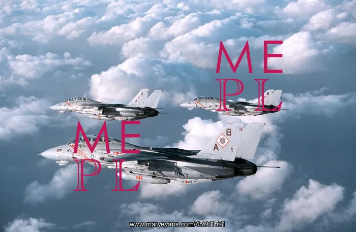 : Three F-14 Tomcats Fighters patrol over ? : Three F-14 Tomcats Fighters patrol over ?