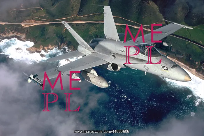  : F-18 Hornet Fighter Jet