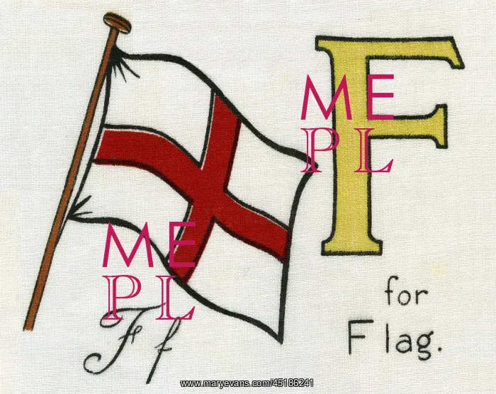  : F for Flag