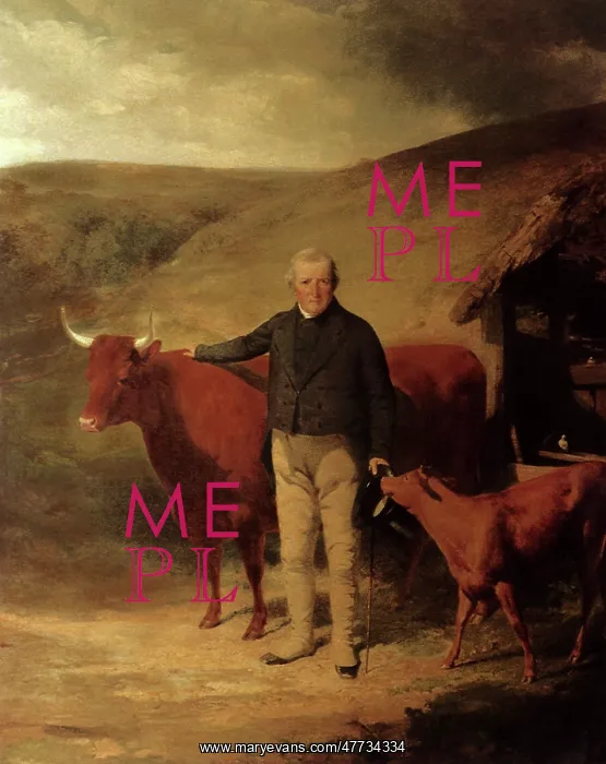  : F. Quartly and Cattle