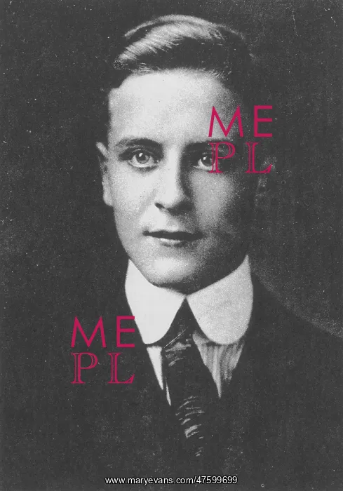: F. Scott Fitzgerald, American Author : F. Scott Fitzgerald, American Author