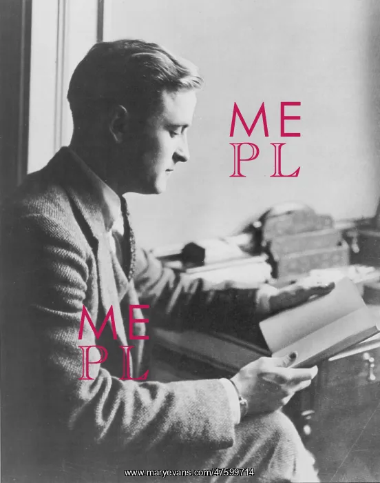 : F. Scott Fitzgerald, American Author : F. Scott Fitzgerald, American Author