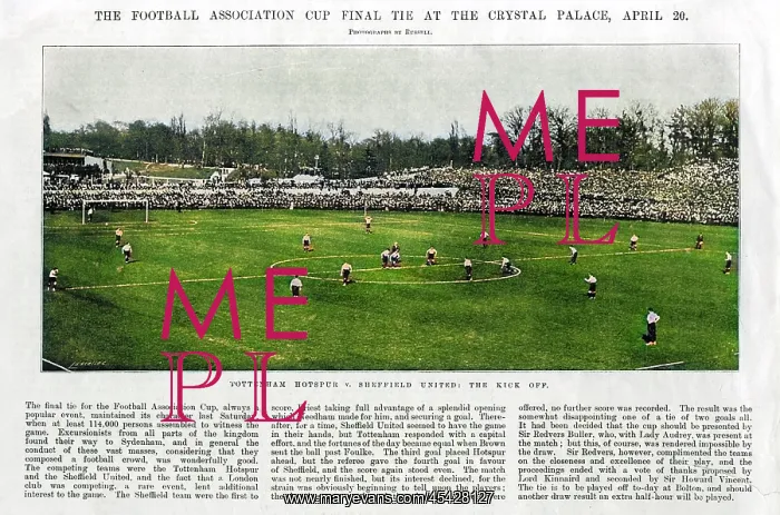 : FA Cup Final 1901 : FA Cup Final 1901