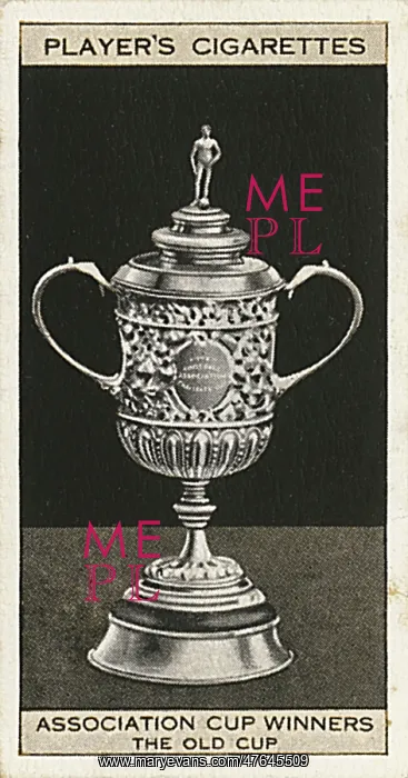 : The FA Cup trophy (the old cup) : The FA Cup trophy (the old cup)