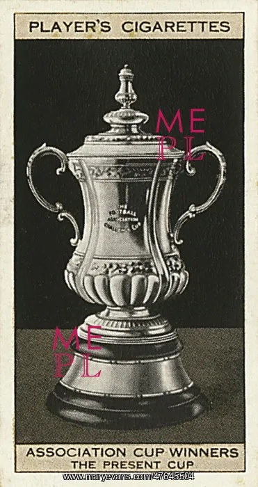 : The FA Cup trophy (the present cup) : The FA Cup trophy (the present cup)