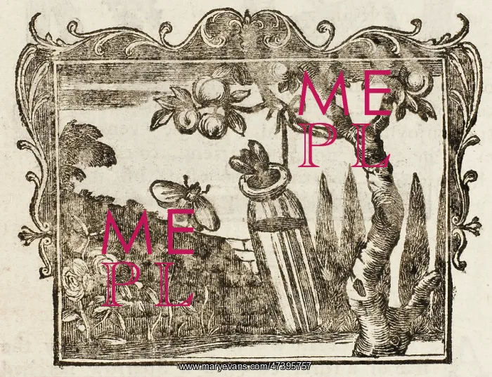 : Fable - the Two Bees : Fable - the Two Bees