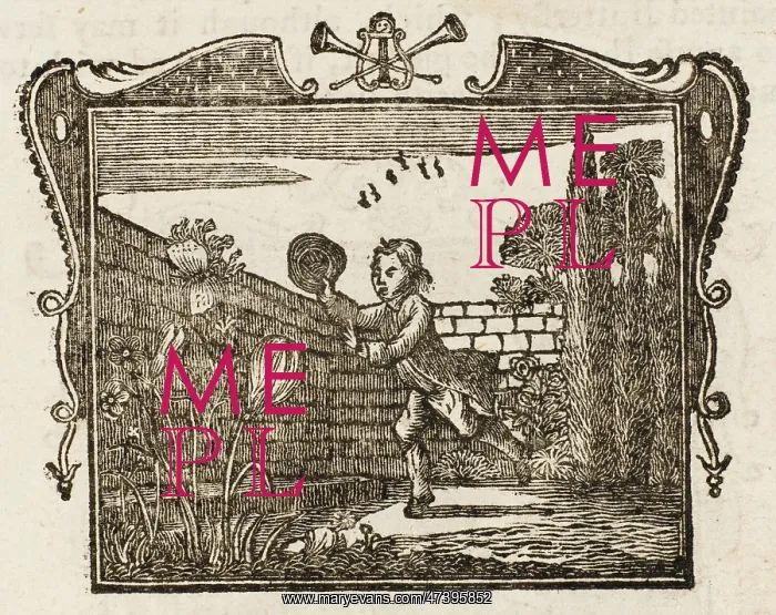 : FABLE / BOY & BUTTERFLY : FABLE / BOY & BUTTERFLY