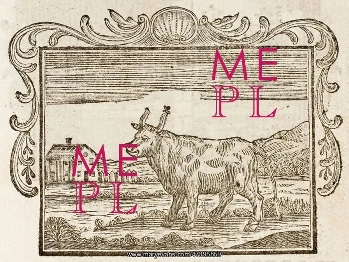 : Fable - Bull and Gnat : Fable - Bull and Gnat