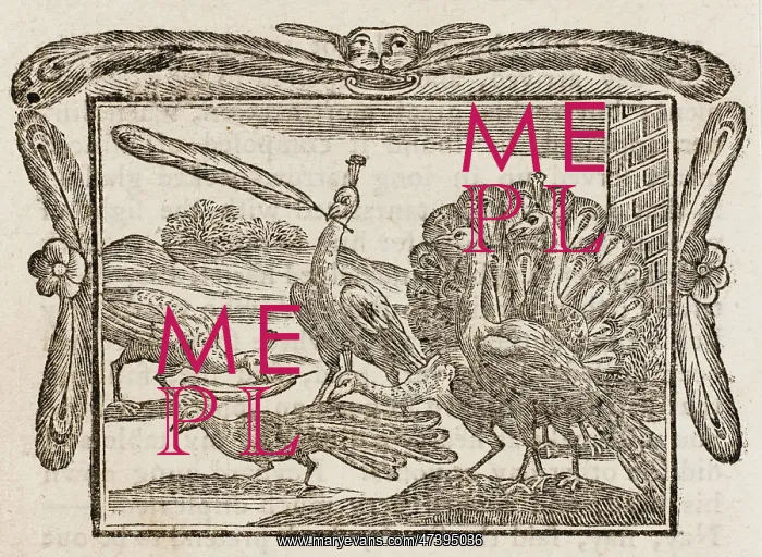 : Fable - Daw - Feathers : Fable - Daw - Feathers
