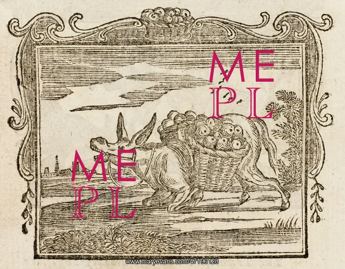 : Fable - Discontented Ass : Fable - Discontented Ass