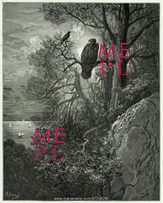 : Fable - Eagle - Magpie : Fable - Eagle - Magpie