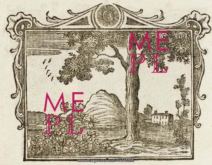: Fable - Elm and Vine : Fable - Elm and Vine