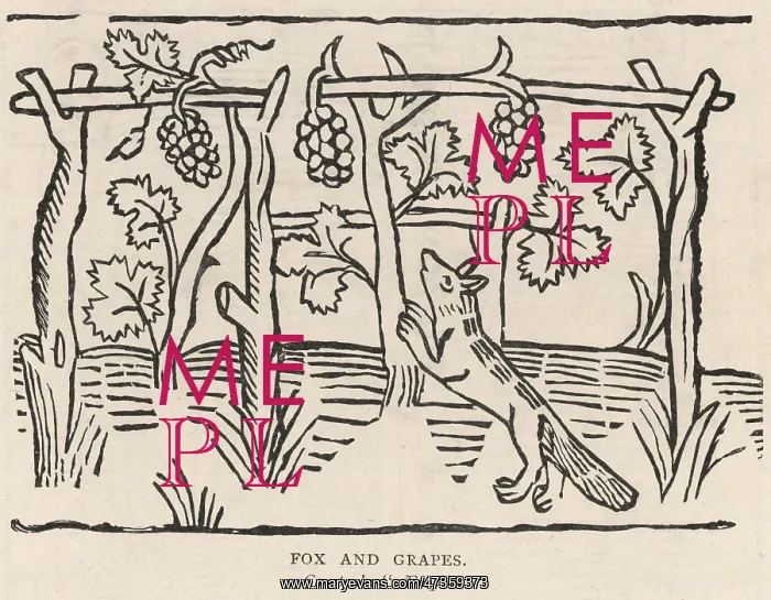 : Fable - Fox - Grapes : Fable - Fox - Grapes