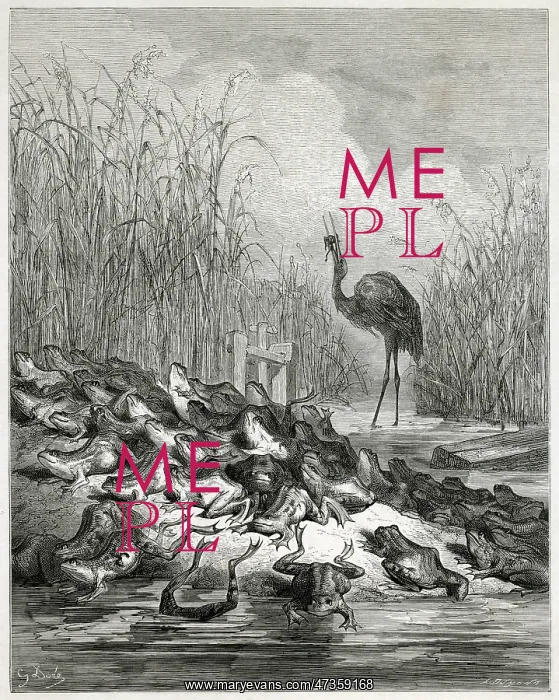 : FABLE / FROGS & STORK : FABLE / FROGS & STORK