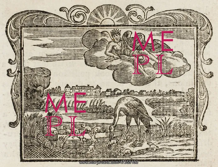 : FABLE / FROGS & STORK : FABLE / FROGS & STORK