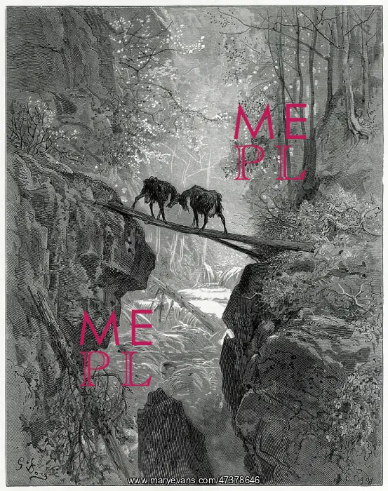  : Fable - Two Goats