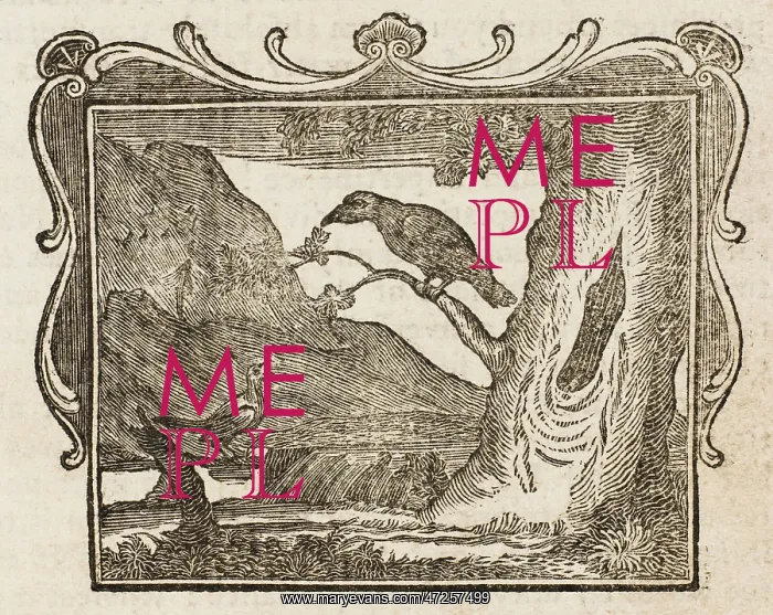  : FABLE / MAGPIE & RAVEN