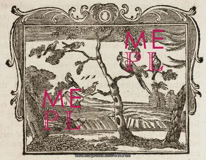  : Fable - the Mock-Bird