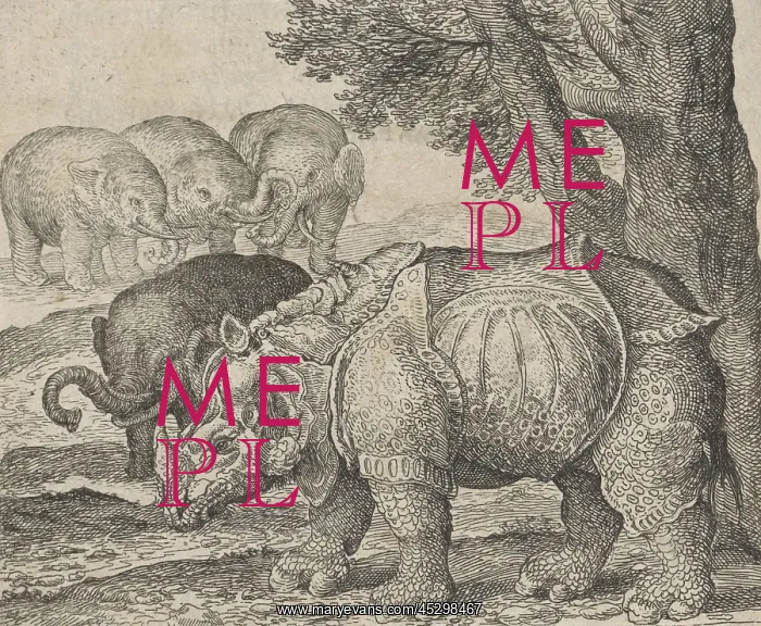 : Fable of the Rhinoceros and Elephants : Fable of the Rhinoceros and Elephants
