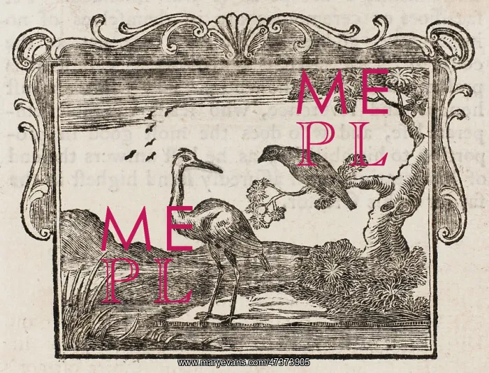 : Fable - Stork - Crow : Fable - Stork - Crow