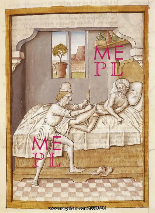 : The Fables of Bidpai. Folio 6: Healing of an ill : The Fables of Bidpai. Folio 6: Healing of an ill