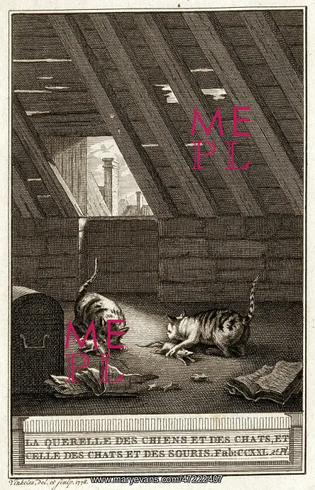 : FABLES / CATS AND MICE : FABLES / CATS AND MICE
