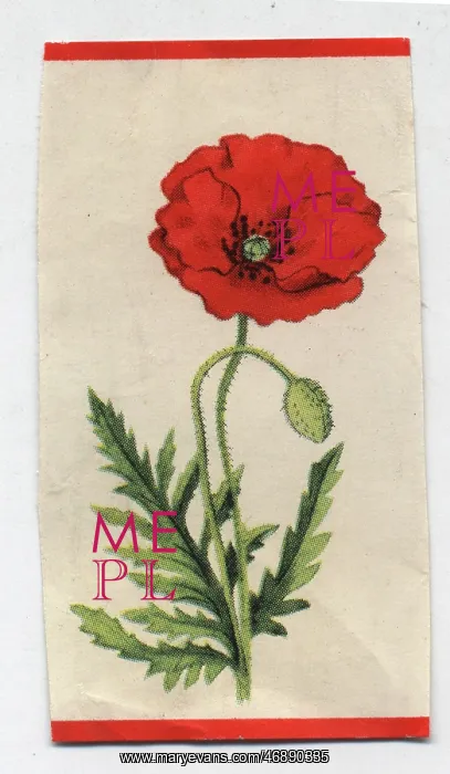 : Fabric swatch with poppy : Fabric swatch with poppy