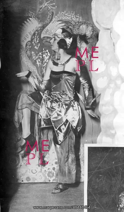  : Fabulous fancy dress