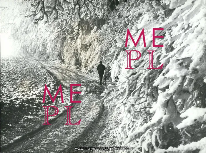 : Fabulous Hoar-frost When the mist in these December : Fabulous Hoar-frost When the mist in these December