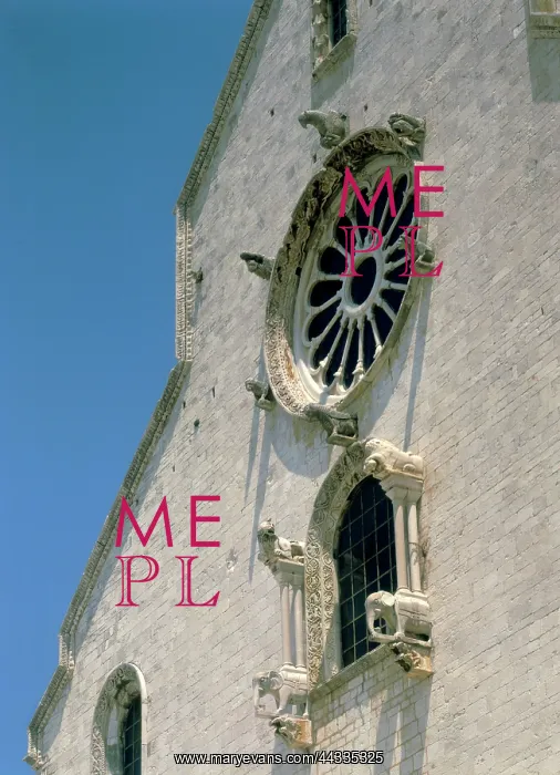 : Facade with the rose window : Facade with the rose window
