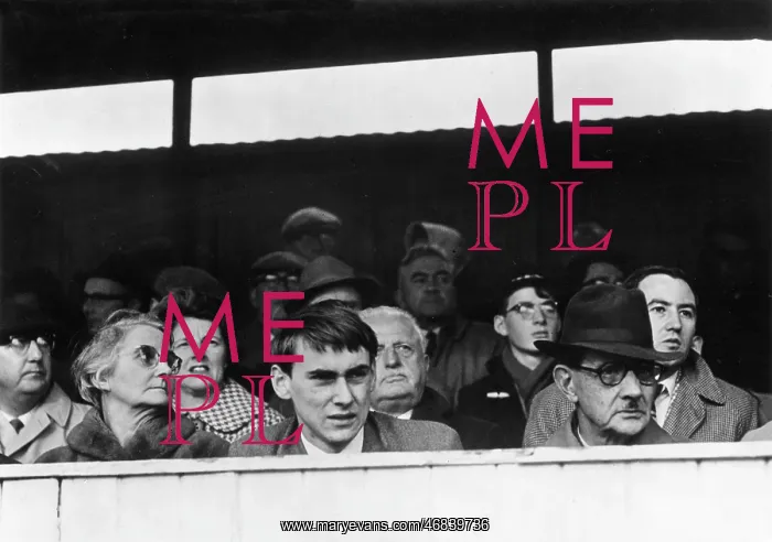 : Faces in the crowd at a rugby match, Richmond : Faces in the crowd at a rugby match, Richmond