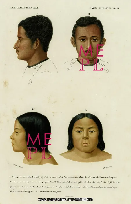: Faces of racial types, Bengali and Ojibwe : Faces of racial types, Bengali and Ojibwe