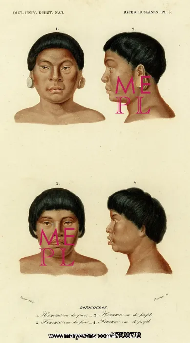 : Faces of racial types, Botocudo tribe : Faces of racial types, Botocudo tribe