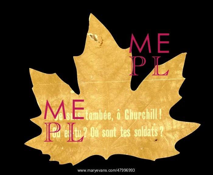 : Facsimile of a leaf with a message during WW2 : Facsimile of a leaf with a message during WW2