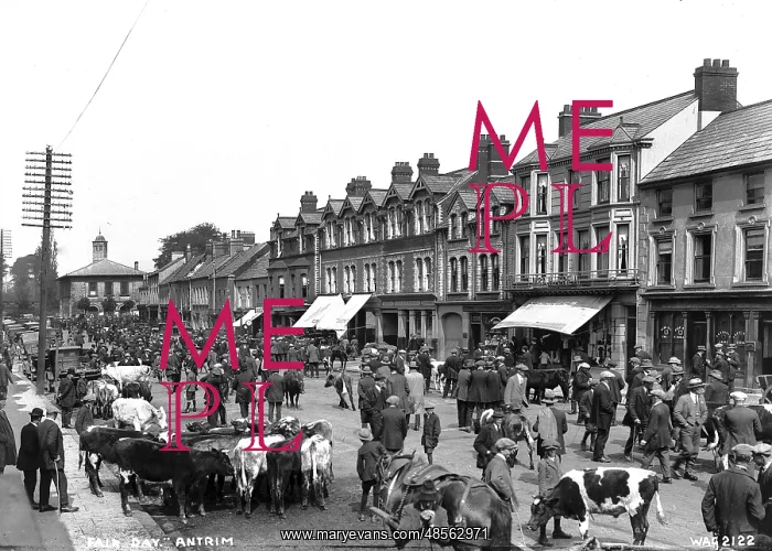 : Fair Day, Antrim : Fair Day, Antrim