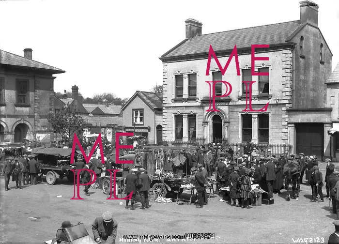 : Fair Day, Antrim : Fair Day, Antrim