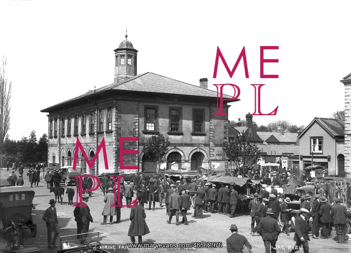 : Fair Day, Antrim : Fair Day, Antrim
