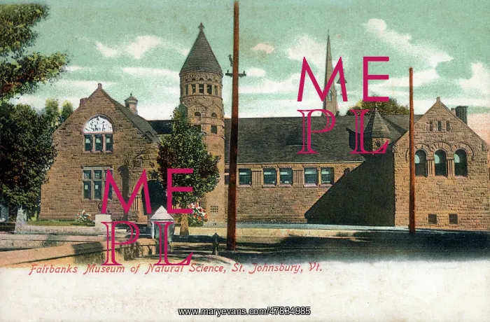 : Fairbanks Museum of Natural Science, St. Johnsbury, Vermont : Fairbanks Museum of Natural Science, St. Johnsbury, Vermont