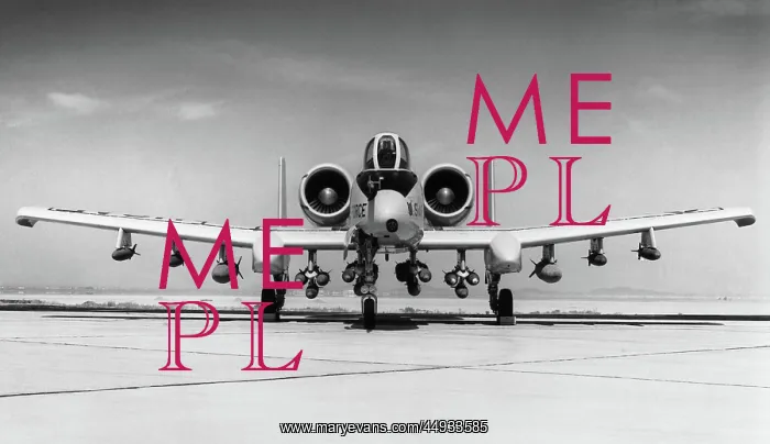 : Fairchild A-10 Thunderbolt II / 2 : Fairchild A-10 Thunderbolt II / 2