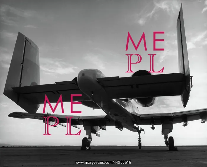 : Fairchild A-10 Thunderbolt II / 2 : Fairchild A-10 Thunderbolt II / 2