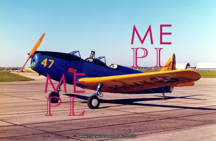 : Fairchild PT-19A -Just under 6, 400 examples were built : Fairchild PT-19A -Just under 6, 400 examples were built