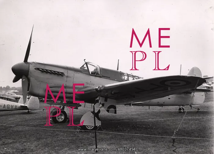 : Fairey Firefly 1 PP549 : Fairey Firefly 1 PP549