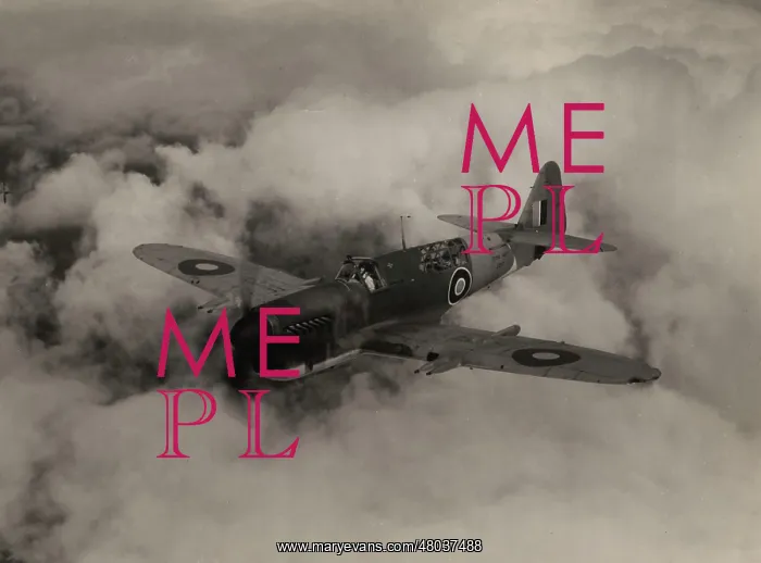 : Fairey Firefly 1 Z2117 : Fairey Firefly 1 Z2117