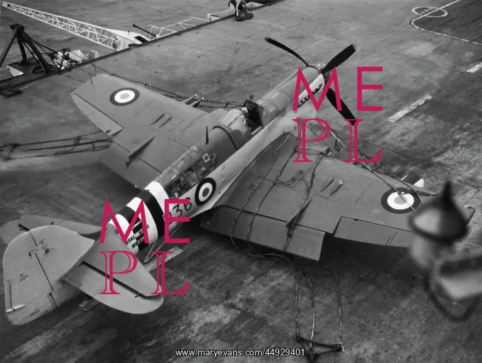  : Fairey Firefly